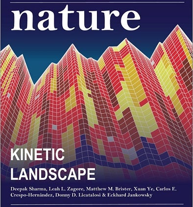 Cover Image